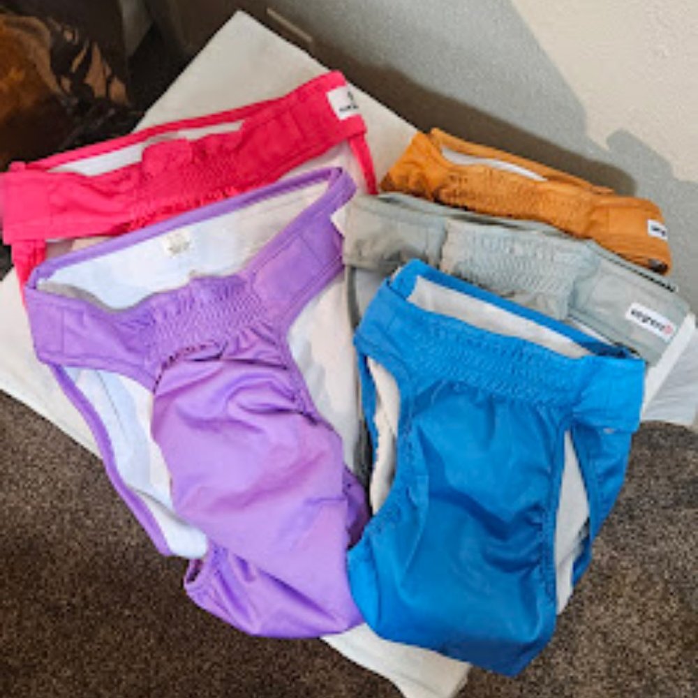 Dog Diaper
